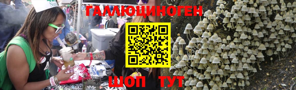 Галлюциногенные грибы Magic Shrooms  Вход с VPN  Черняховск  Галлюциногенные грибы Psilocybe 